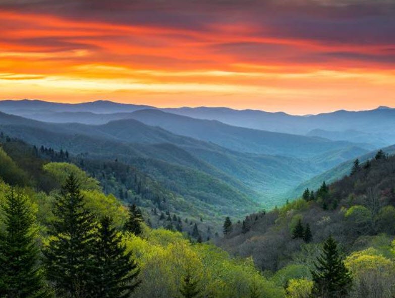 Great Smoky Mountains National Park, North Carolina, USA